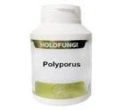 HOLOFUNGI POLYPORUS 180 CAP – EQUISALUD - Imagen 3