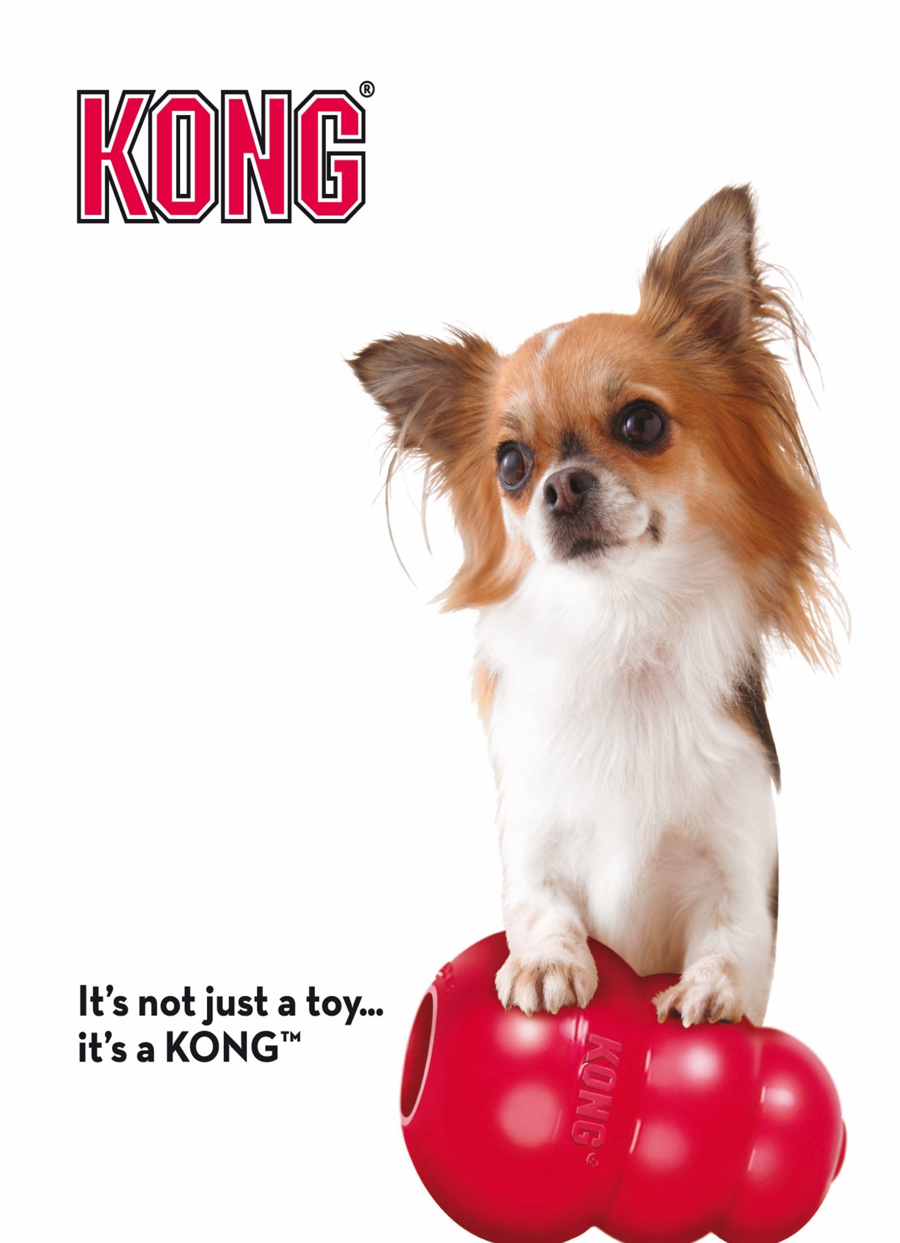 Kong Classic Red S 7cm. juguete ideal para perros - Imagen 4