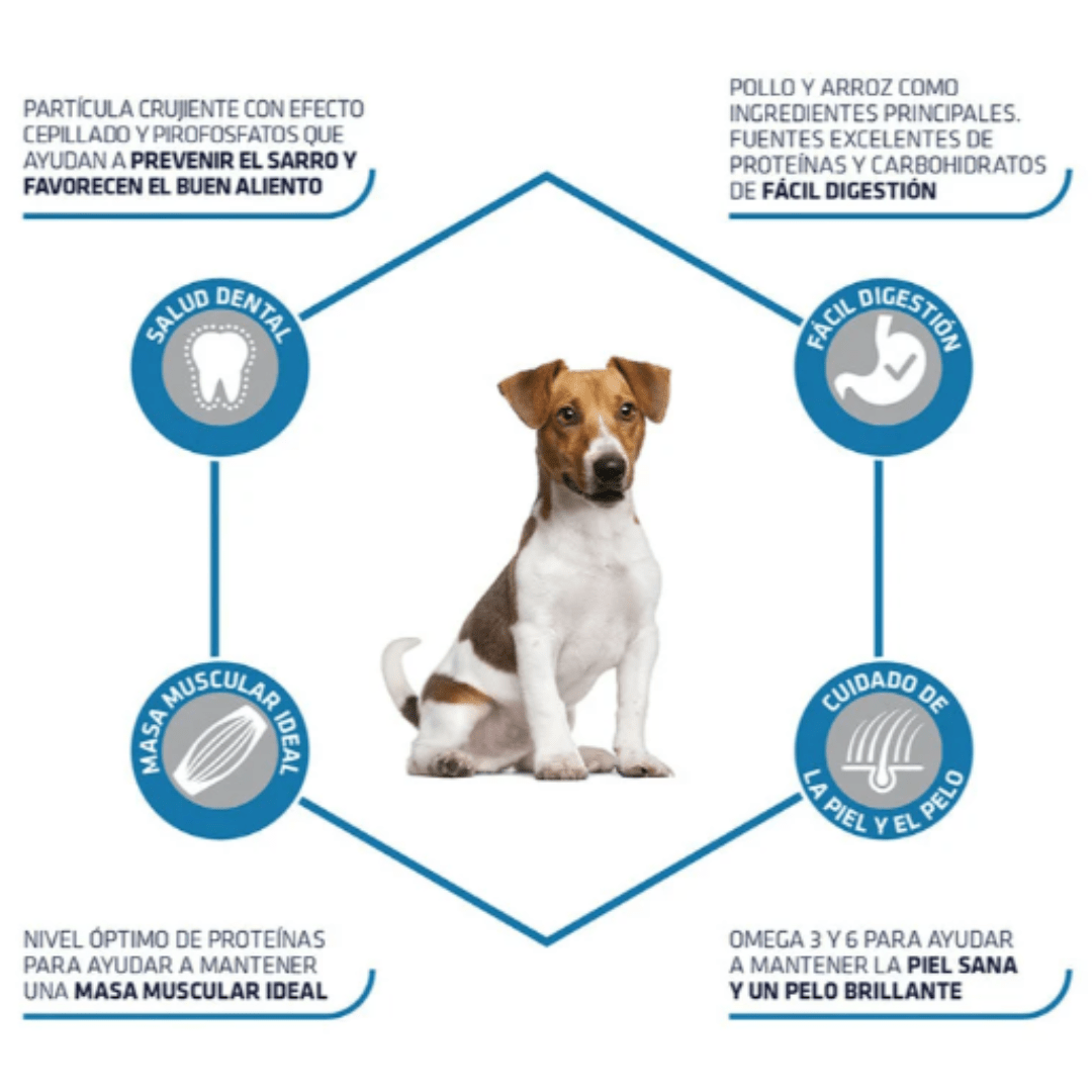 Advance Mini Adult pollo y arroz canine - Imagen 4