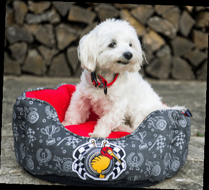 Kiwi Oval Bed Pet Sailor Base cama para perro Azul oscuro / Azul claro - Imagen 4