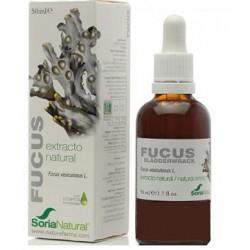 EXTRACTO NATURAL DE FUCUS 50 ML.