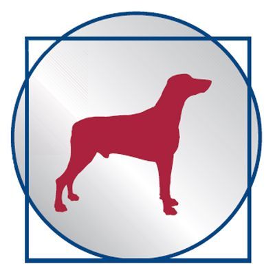 Royal Canin Veterinary Diet Hepatic HF16 - Imagen 4