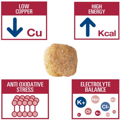 Royal Canin Veterinary Diet Hepatic HF16 - Imagen 3