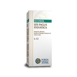 LES FAGUS SYLVÁTICA 50 ML.