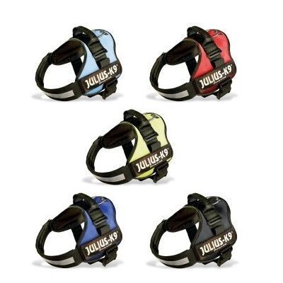 Arnés Power de Julius K9 -Talla 1 - Imagen 2