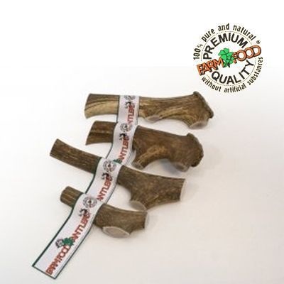 Astas Naturales de Ciervo FarmFood -S- - Imagen 3