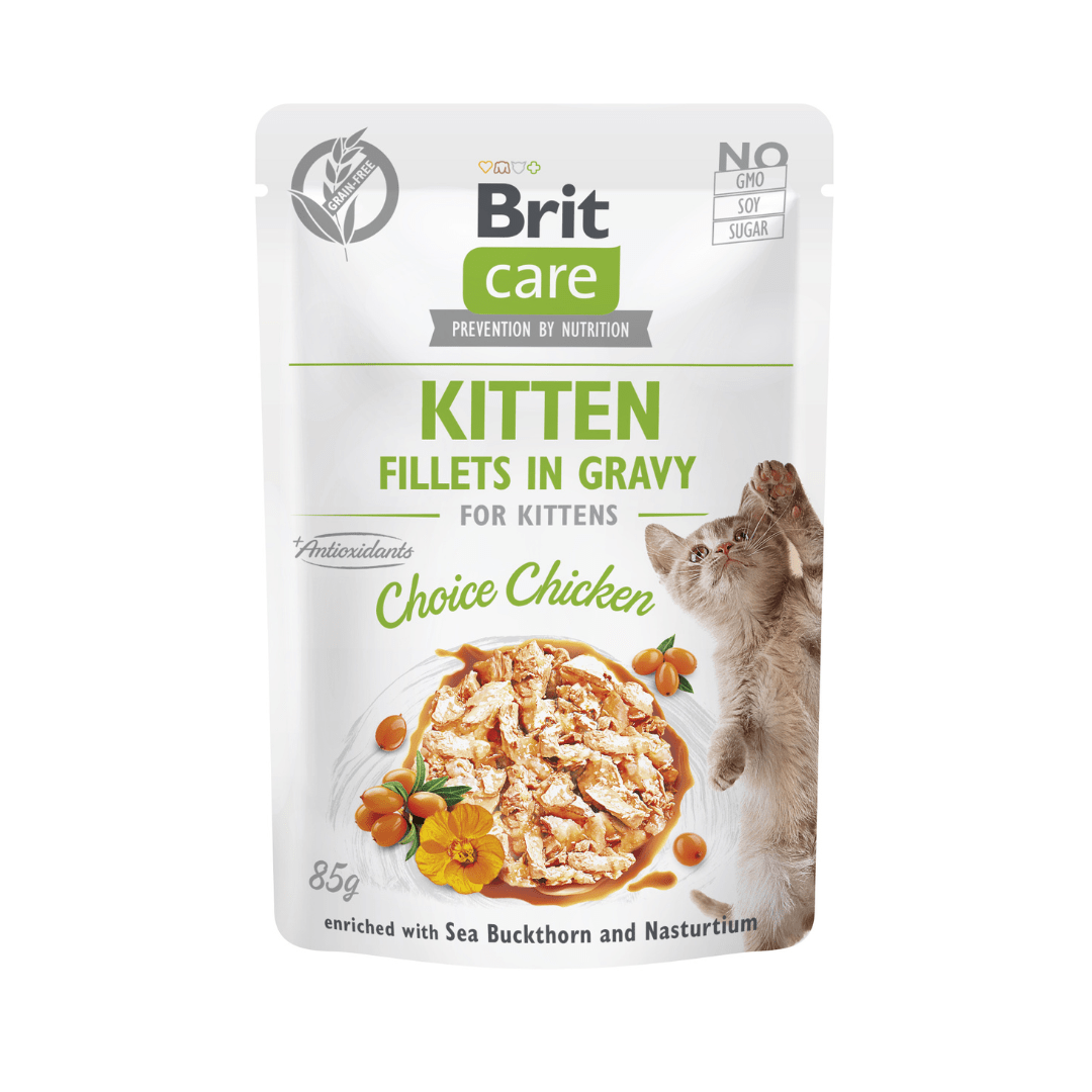 Brit Care Cat Kitten Filetes de Pollo en salsa 85gr x 24ud - Imagen 2