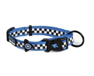Kiwi Racing Collar para perro 4 Modelos - Imagen 2