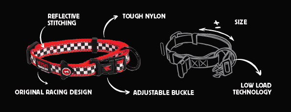 Kiwi Racing Collar para perro 4 Modelos - Imagen 4
