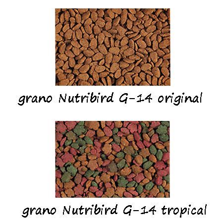 Versele-Laga Nutribird G-14 Original y Tropical - Imagen 6