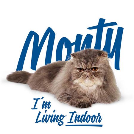 Brit Care Cat Monty indoor para gatos - Imagen 5