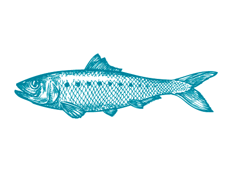 Brit Care Functional Snack Recovery para perros - Imagen 4