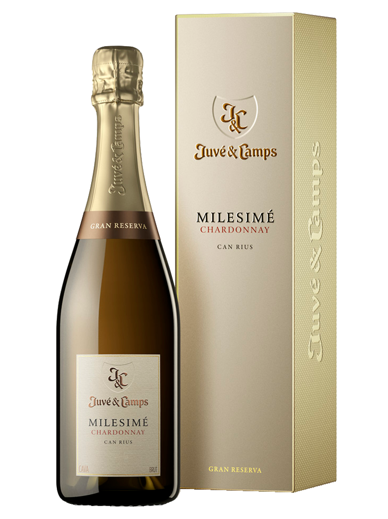 Juvé & Camps Millesimé Chardonnay Cava Espumoso - Imagen 2