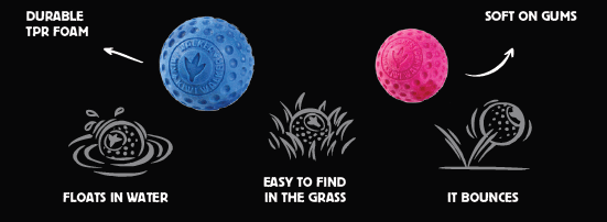 Kiwi Walker Pelota Let’s Play and Glow Brilla en la ocuridad - Imagen 6