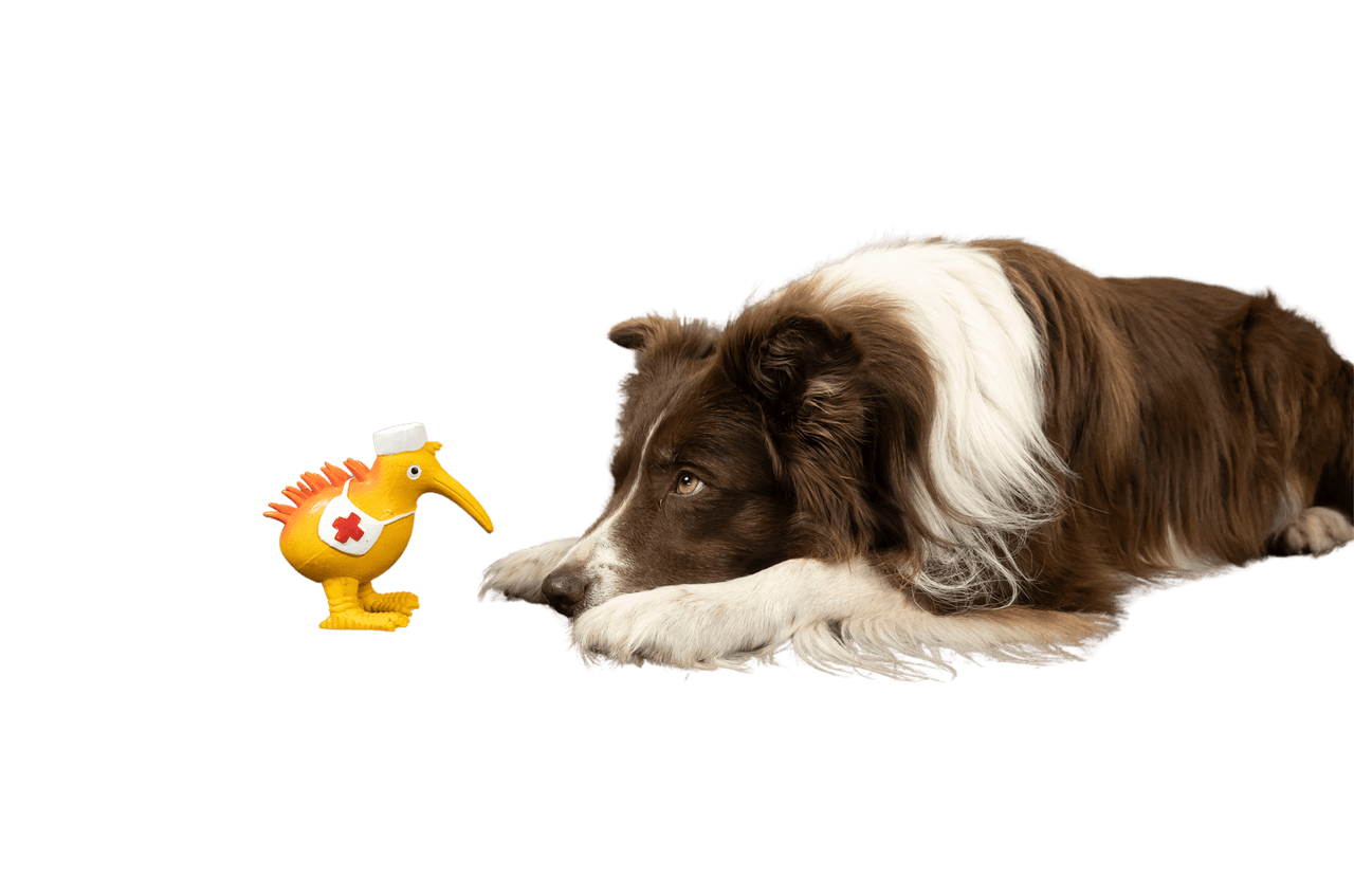 Juguete Látex Kiwi Nurse - Imagen 3