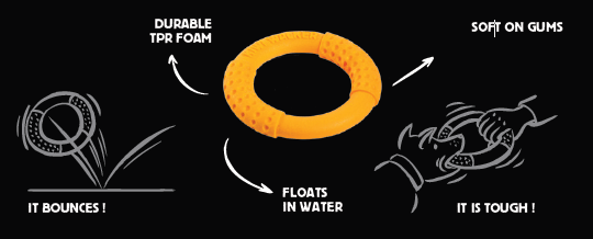 Kiwi Ring juguete para perro - Imagen 4