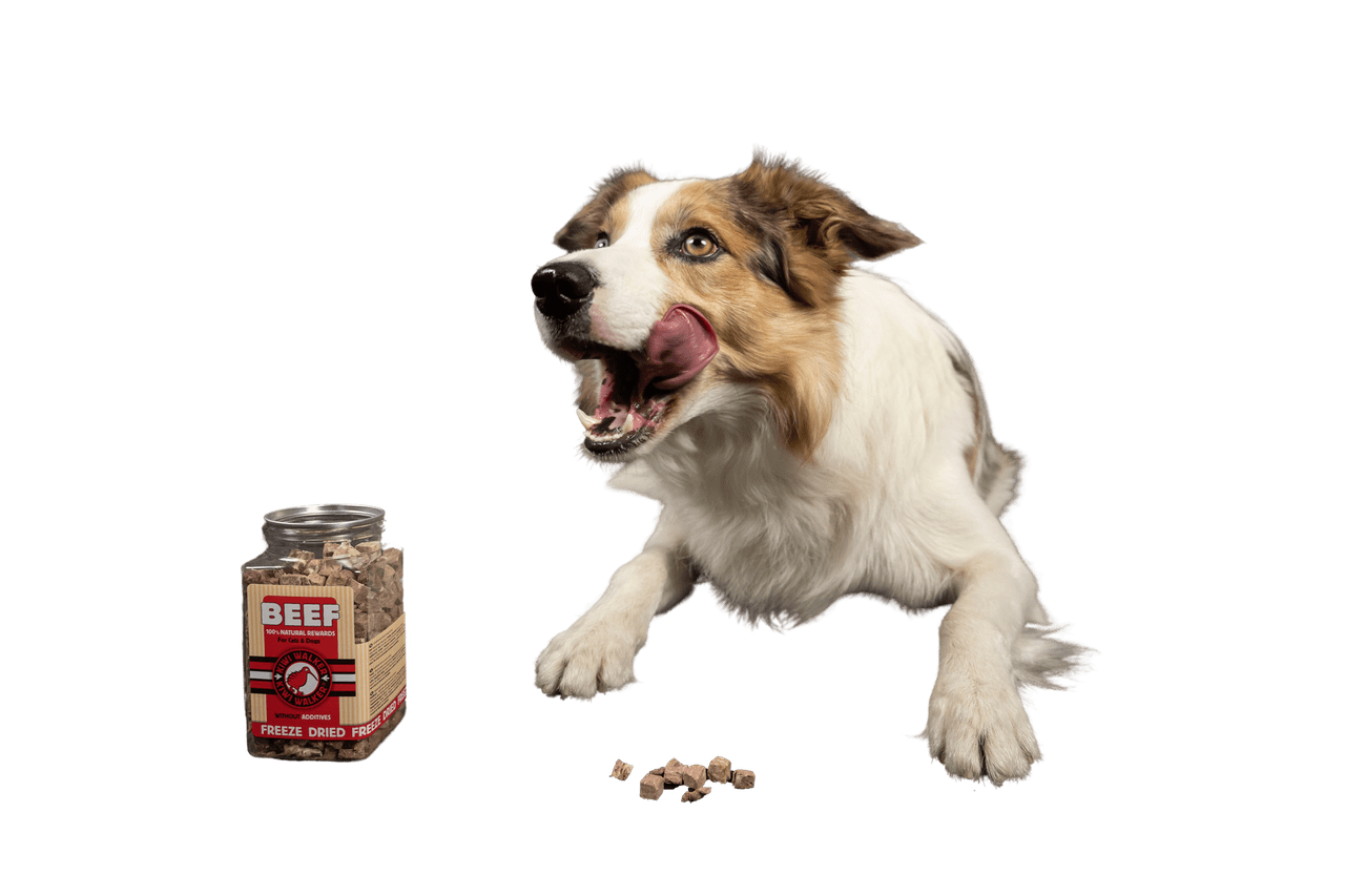 Snack Kiwi Pollo, Calabaza y Espinacas – para perros y gatos - Imagen 8