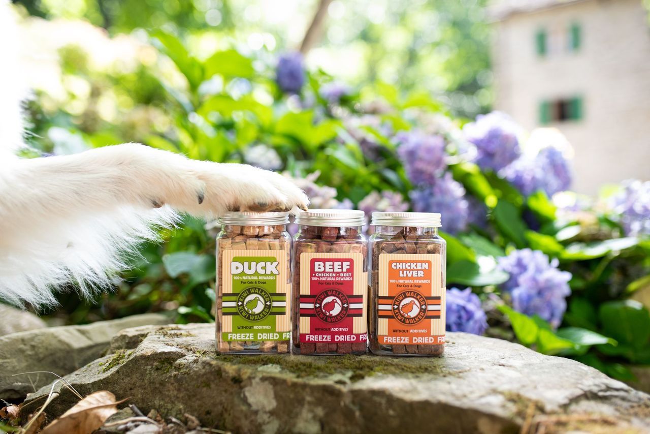 Snack Kiwi Pollo, Calabaza y Espinacas – para perros y gatos - Imagen 7