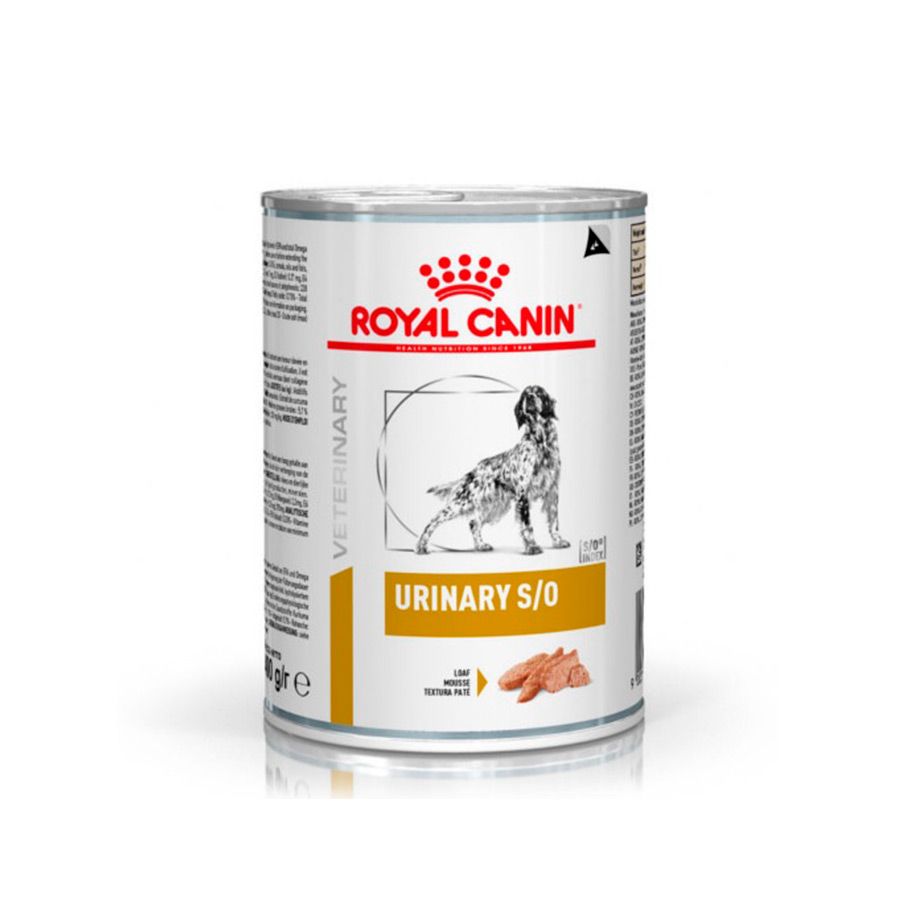 Royal Canin Urinary S/O lata 12×410 gr,