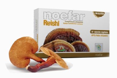 REISHI 30 Cáp. – NOEFAR - Imagen 2