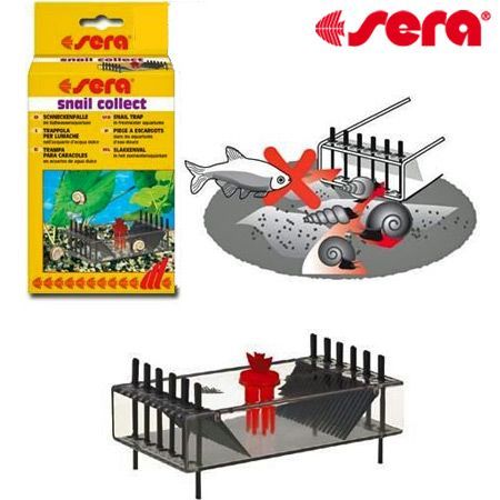 Sera Snail collect - Imagen 3