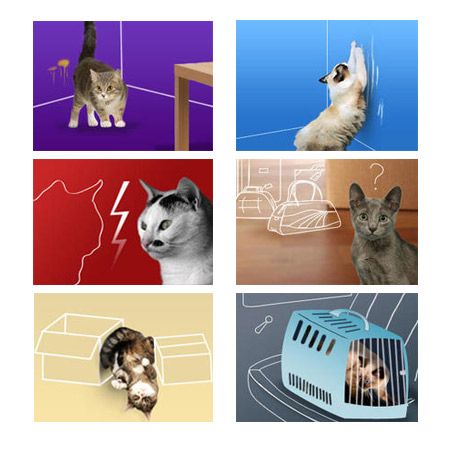 Feliway Classic recambio 48ml pack 3 recargas - Imagen 4