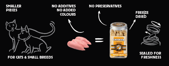 Snack Kiwi Pollo, Calabaza y Espinacas – para perros y gatos - Imagen 3