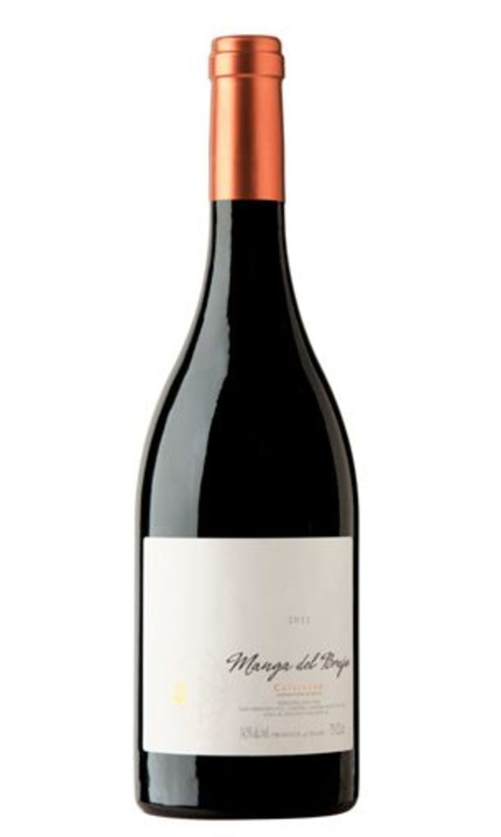 Vino tinto Manga del Brujo botella 750 ml