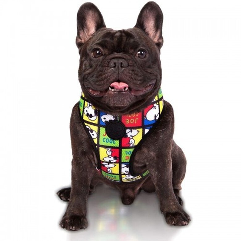 Arnés Pectoral para perro Snoopy Joe Cool cuadros - Imagen 2